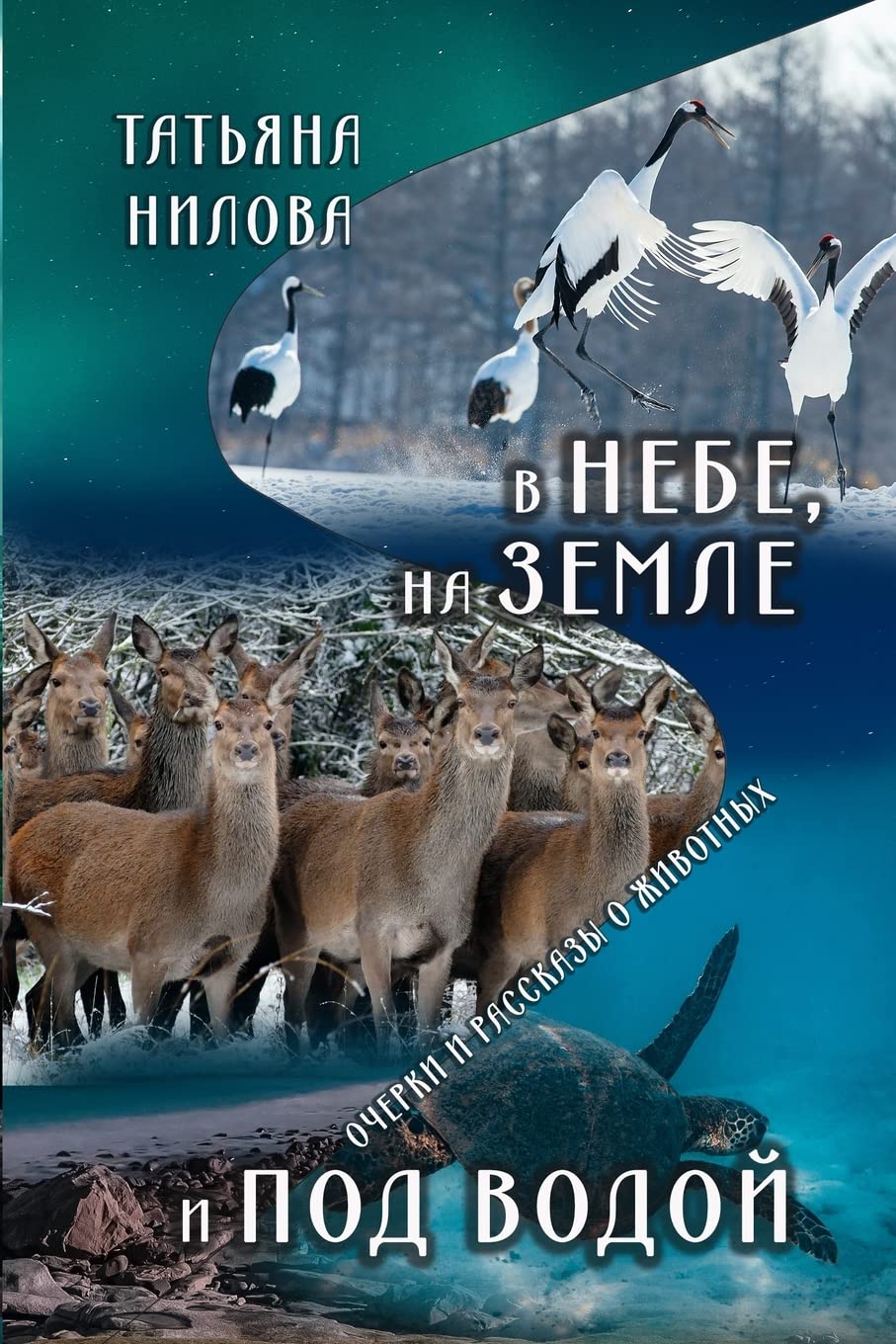 9781387388301