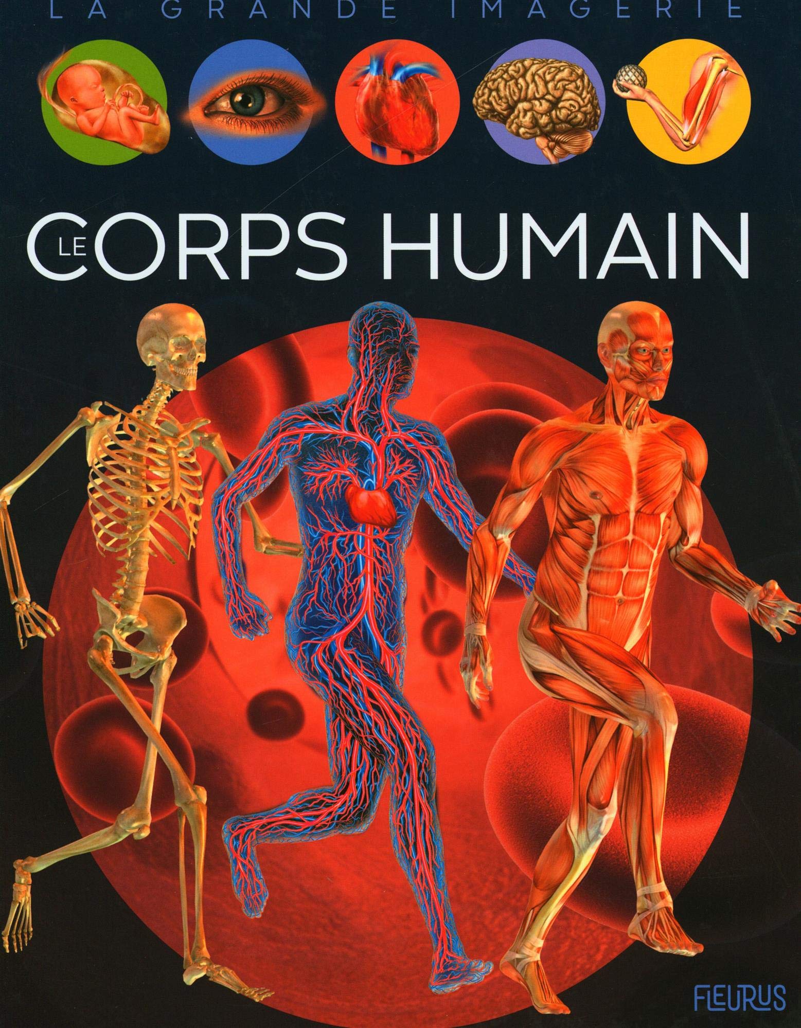 9782215174738