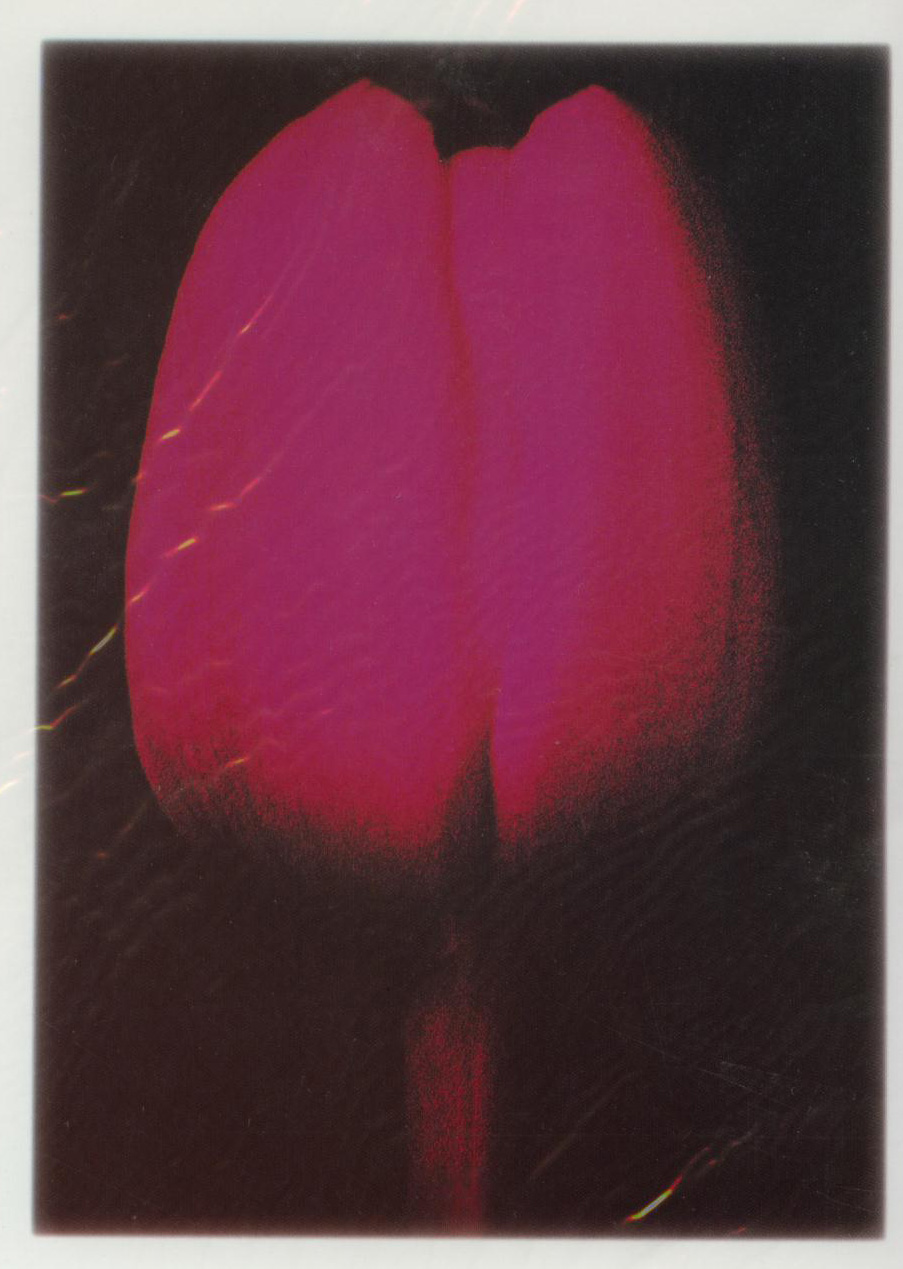 ZM5